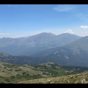 Meet your Posher, Callie